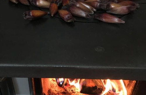 Gramado Casa | Casa do Nono