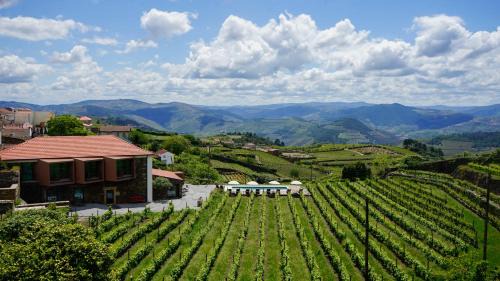 Provesende Casa | Casa do Santo - Wine & Tourism
