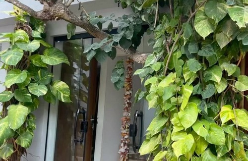 Barra Grande Hotel | Casa do Tedd