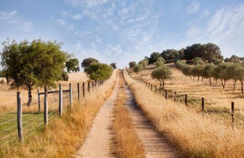 Alvito Casa | Casa do Vale da Terra Negra