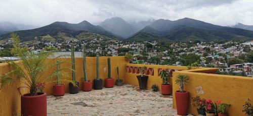 Oaxaca Casa | Casa Donaji