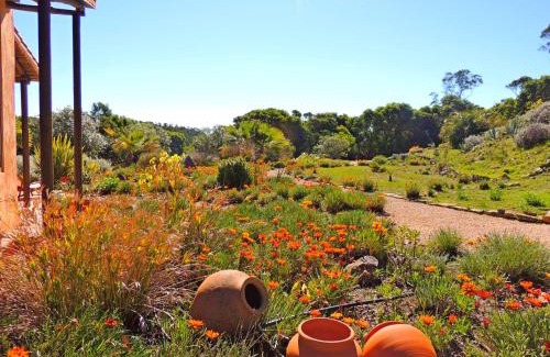 Barao de Sao Joao Apartamento | Casa dos Sonhos, private terrace, quiet location, walking to village, ecological pool, pets considered, nature friendly