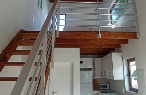 Hermigua Casa | CASA DEL ARBOL DE BIBIANA 1