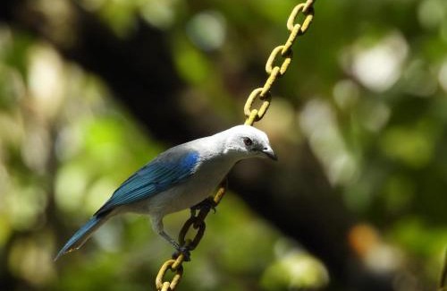 Playa Hermosa Casa | Casa El Búho