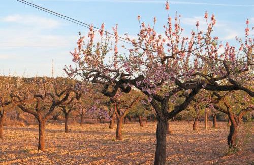 Vall d'Alba Casa | Casa El Ros II - Turistrat