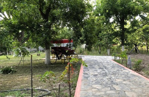 Parras de la Fuente Casa | CASA ELENA