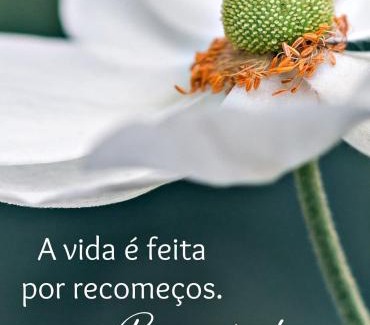 Aracruz Casa | Casa em Aracruz ES