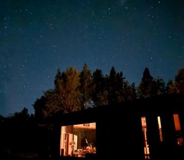 Puerto Octay Casa | Casa en el bosque-tinaja