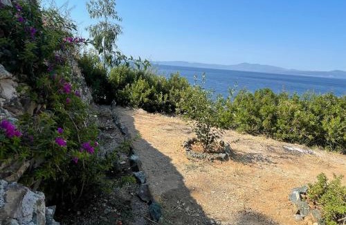 Xirolivado Casa | Casa Faustina