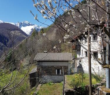 Lunecco Casa | Casa Grande