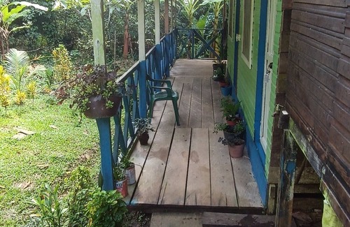 Puerto Narino Apartamento | casa hotel rodeadas de la naturaleza y voses silvestre, amaneces con aves , 🙉