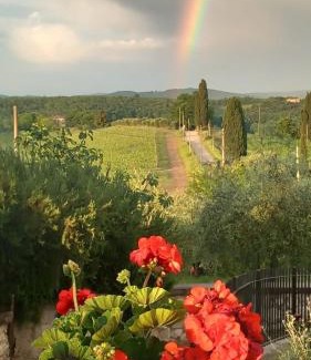 Castelnuovo Berardenga Casa | Casa il Cipresso