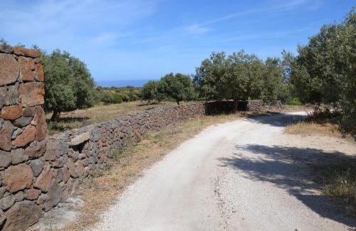 Dorgali Casa | Casa indipendente immersa nel verde con vista mare