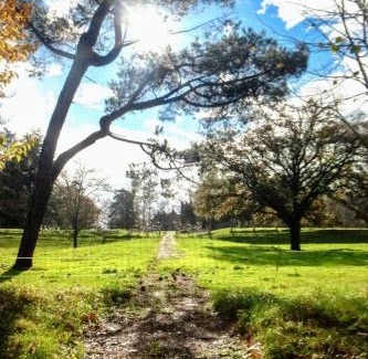 Pedredo Casa | Casa junto a Reserva del Saja, bosque y montaña