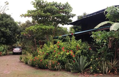 Puerto Jiménez Casa | Casa Kumbaya Costa Rica
