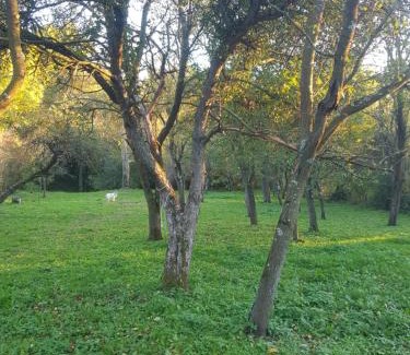 Capusu Mare Casa | Casa La Casiru 6