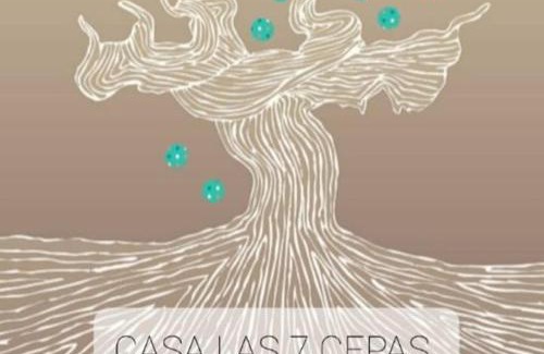 El Cristo del Espíritu Santo Casa | CASA LAS 7 CEPAS moderna y acogedora en plena naturaleza