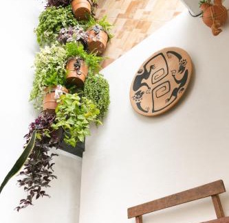 Reforma Casa | Casa los Changos