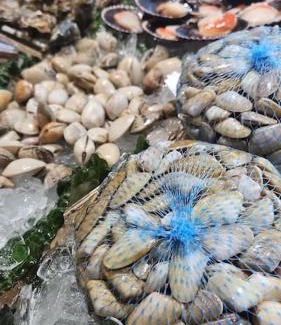 Palamos Apartamento | Casa Maite