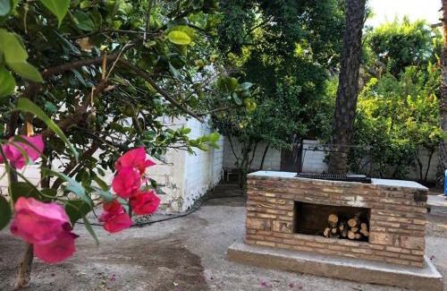 Mulege Casa | Casa Manglares