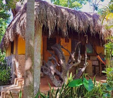Macario Gómez Cama Y Desayuno | Casa Mango