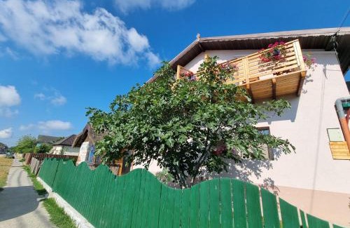 Sfantu Gheorghe Cama Y Desayuno | CASA MOREANA