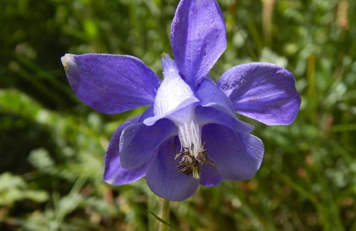 Puertolas Casa | Casa Moreno
