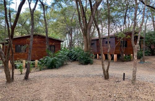 Brasilito Cabina | CASA NATURaL