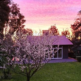 Joao Alves Casa | Casa no Bosque