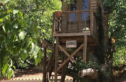 Pedreiras Apartamento | Casa Oliva - Casa da Lenha