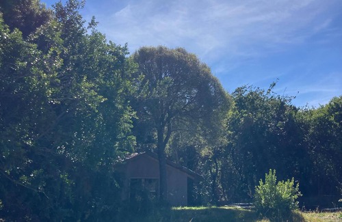 Puerto Aysen Cabina | Refugio Casa Piedra, Puerto Ingeniero Ibáñez.