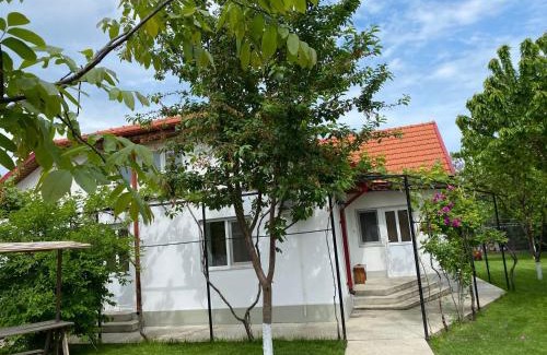 Vama Veche Casa | Casa Porumbelul Vama Veche