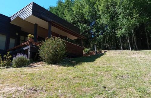 Minetue Casa | Casa Pucon sector Laguna ancapulli