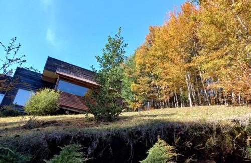 Minetue Casa | Casa Pucon sector Laguna ancapulli