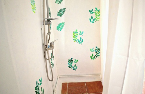 Vicuna Casa | Casa Pumagui