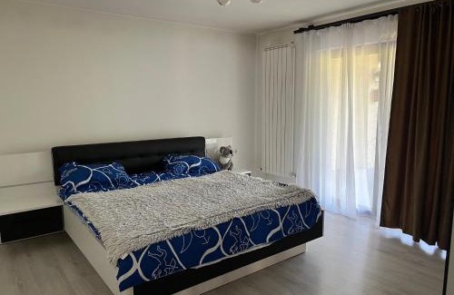 Sighetu Marmatiei Casa | Casa Rafael