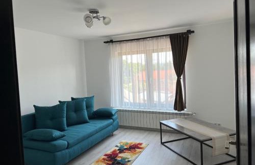 Sighetu Marmatiei Casa | Casa Rafael