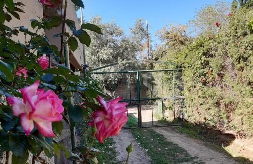 Chacras de Coria Casa | Casa Relax Liniers Chacras de Coria