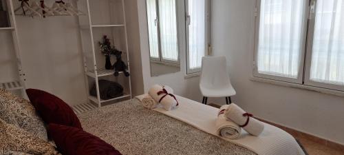 Centro de León Apartamento | Casa Roman SPORT