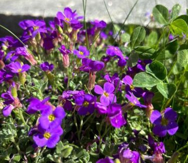 Gaschurn Casa | Casa Romantica - ein Alpiner Traum