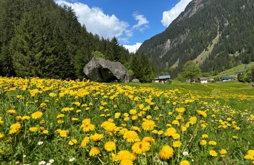 Gaschurn Casa | Casa Romantica - ein Alpiner Traum