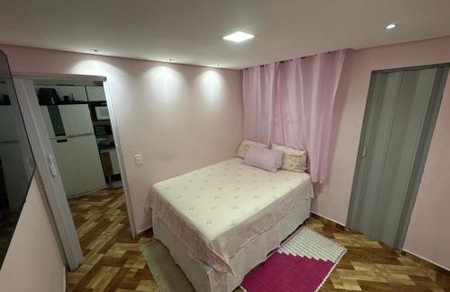 Americanopolis Casa | Casa rosa