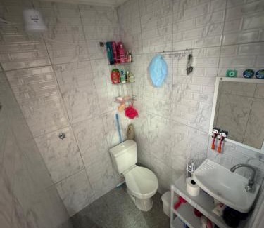 Americanopolis Casa | Casa rosa