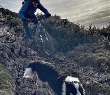 Ayerbe Casa | Casa Ruiz