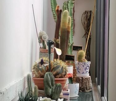 Ayerbe Casa | Casa Ruiz