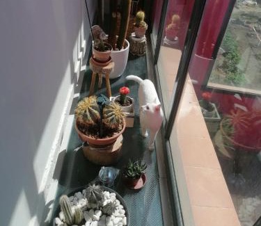 Ayerbe Casa | Casa Ruiz