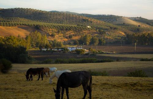Pruna Casa | Casa Rural Asiento del Río