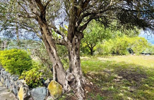 Teror Casa | Casa Rural Ca'Chispita