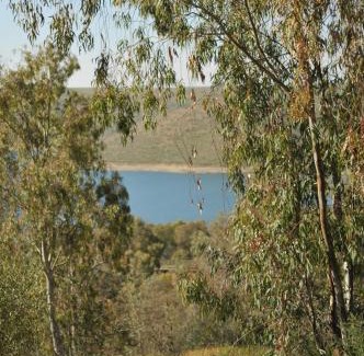 Castuera Otro | Casa Rural Casa de las Aves