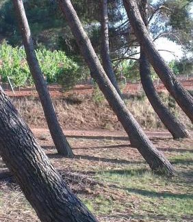 Caudete de las Fuentes Casa | CASA RURAL ALEGRÍA